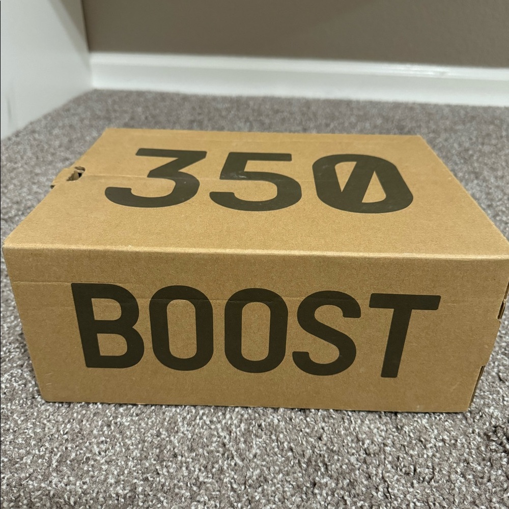 Yeezy Boost 350 reflective